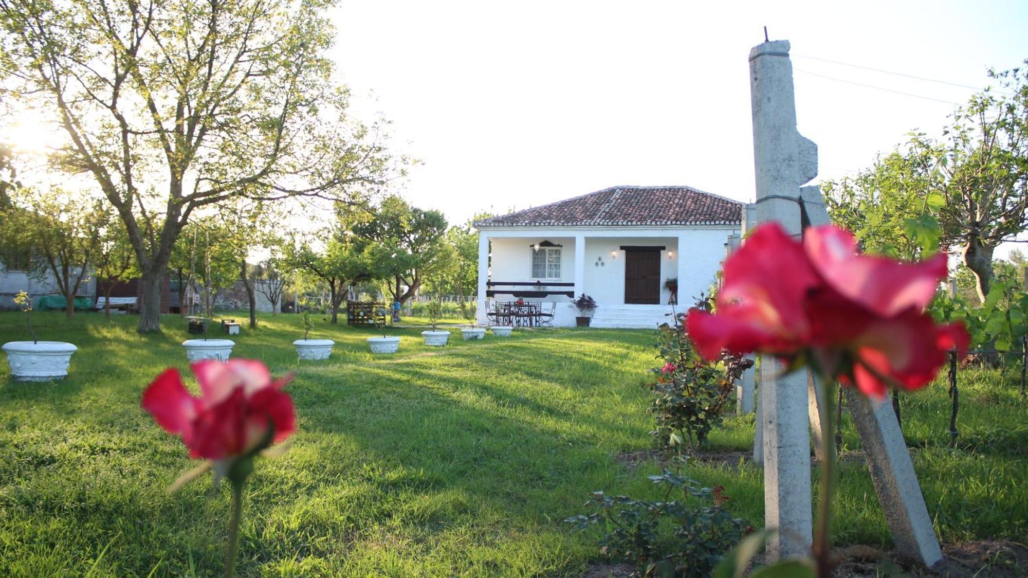 "Per Mik" Cottage In Vineyard Shkoder Luaran gambar