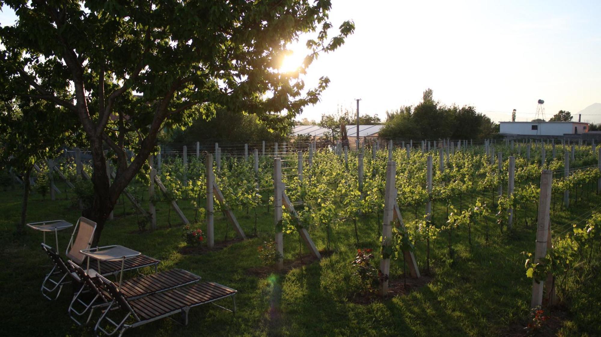 "Per Mik" Cottage In Vineyard Shkoder Luaran gambar