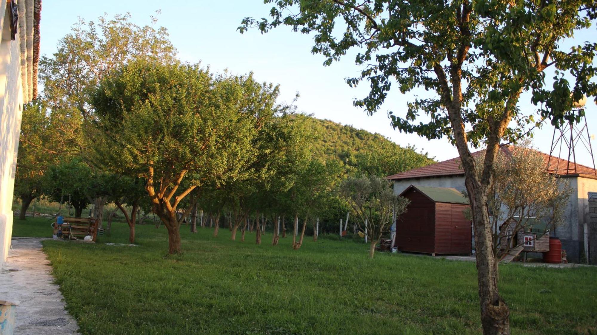 "Per Mik" Cottage In Vineyard Shkoder Luaran gambar
